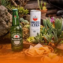Platillo con comida y cerveza
